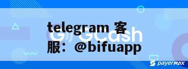 菲律宾主流第三方支付平台及其服务对比